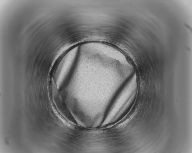 X0000094420989200711291545