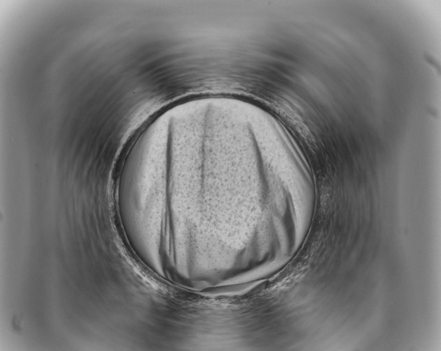 X0000094420990200711291545