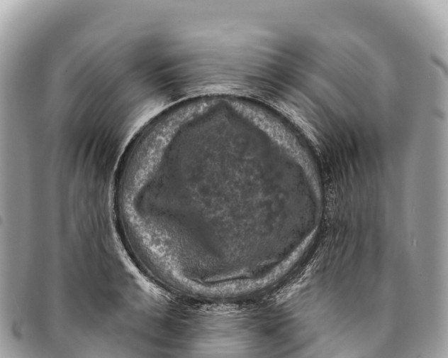 X0000094420991200711291545