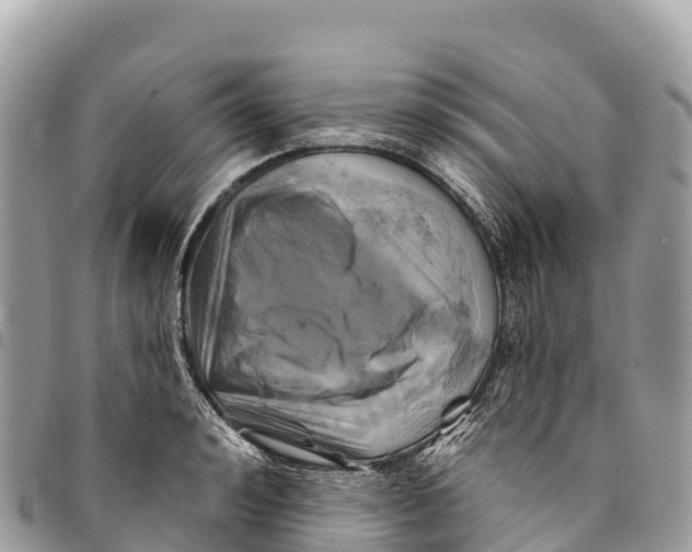 X0000094420992200711291545