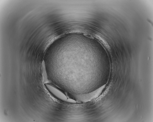 X0000094420993200711291545