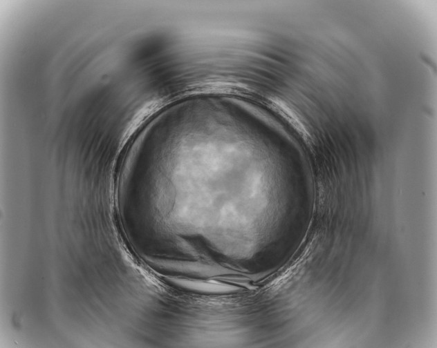 X0000094420994200711291545