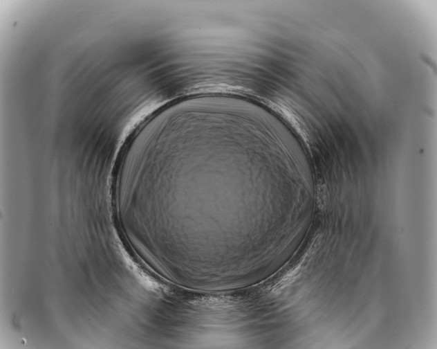 X0000094420995200711291545