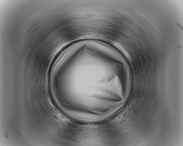 X0000094420996200711291545