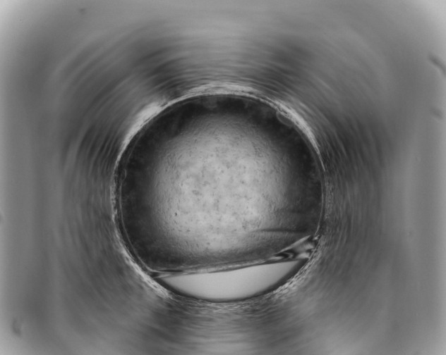 X0000094420997200711291545