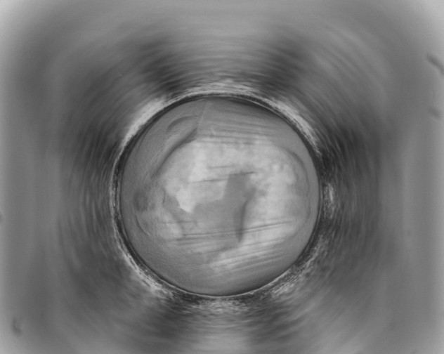 X0000094420998200711291545