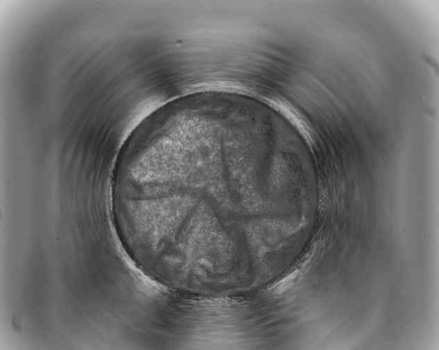 X0000094420999200711291545