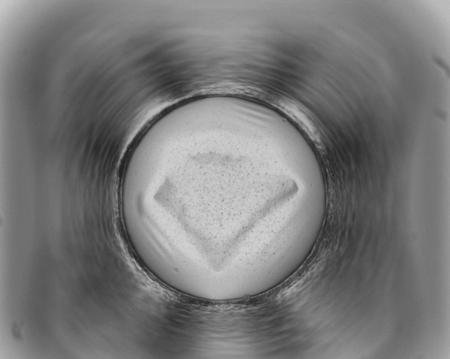 X0000094421000200711291545