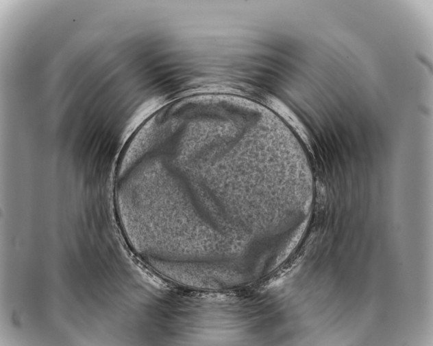 X0000094421002200711291545