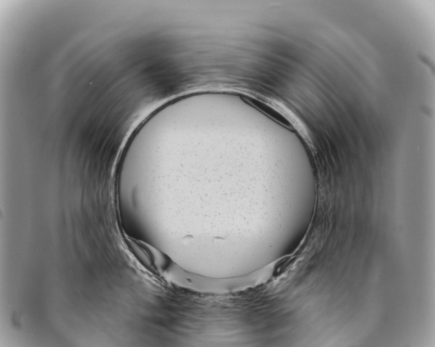 X0000094421004200711291545