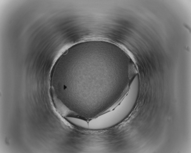 X0000094421005200711291545