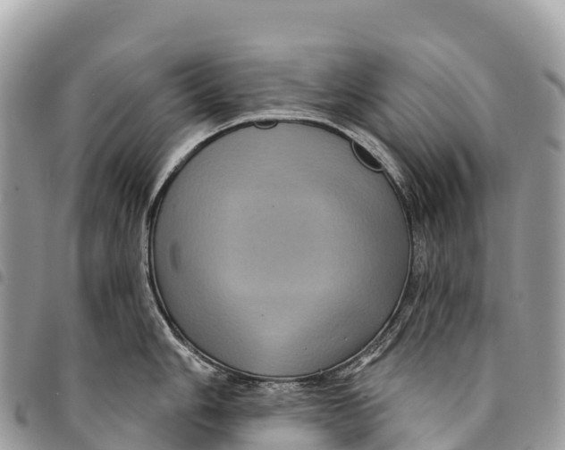 X0000094421006200711291545