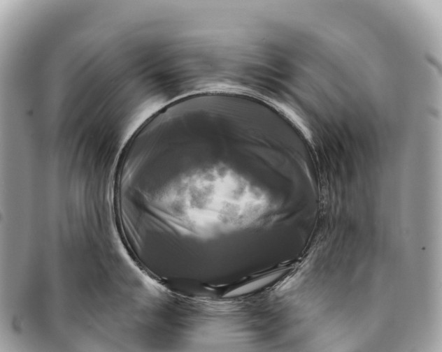 X0000094421007200711291545