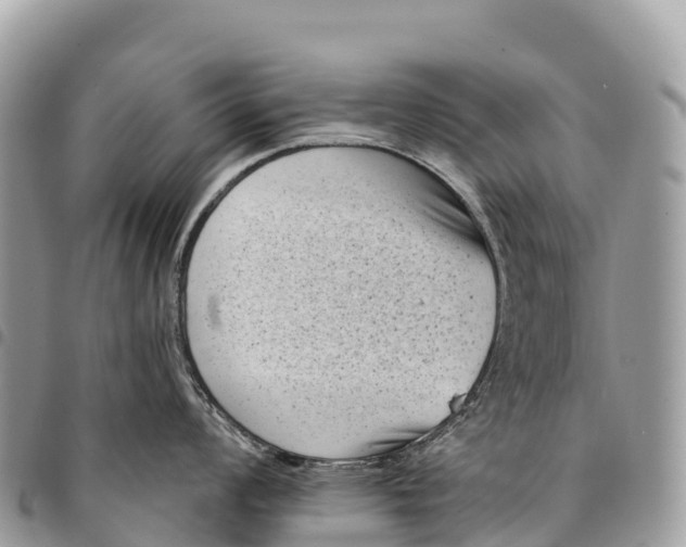 X0000094421008200711291545