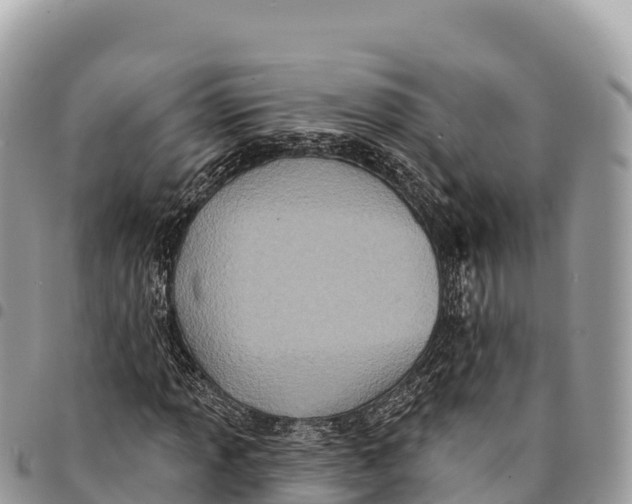 X0000094421013200711291544