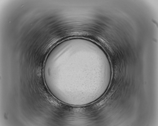 X0000094421017200711291544