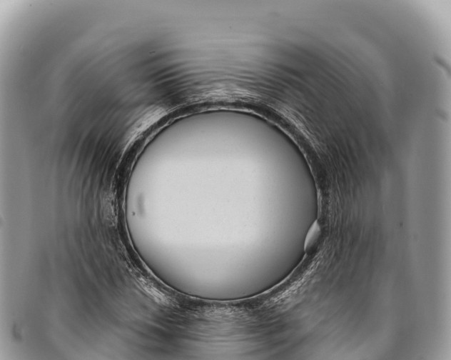 X0000094421018200711291544