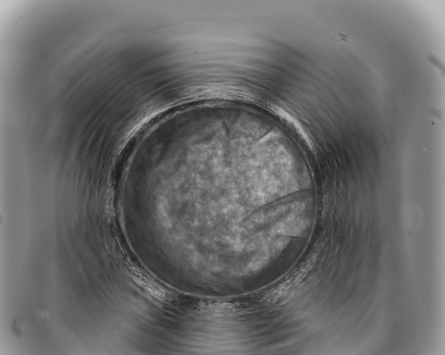 X0000094421019200711291544