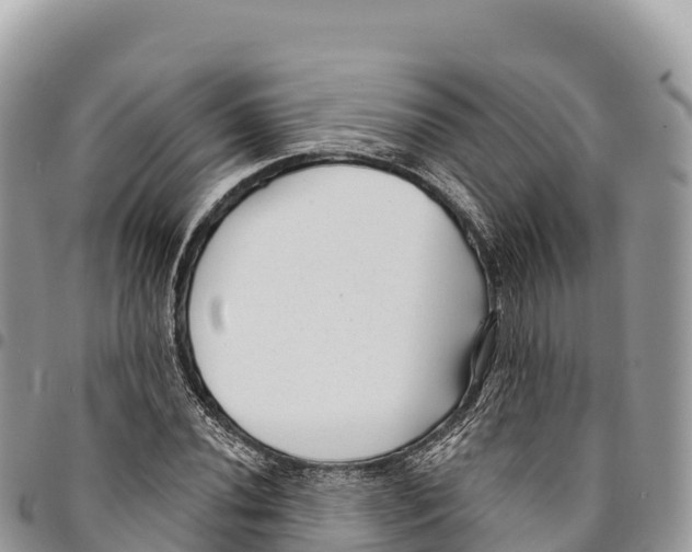 X0000094421020200711291544