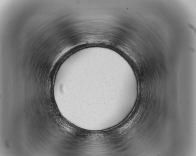 X0000094421021200711291544