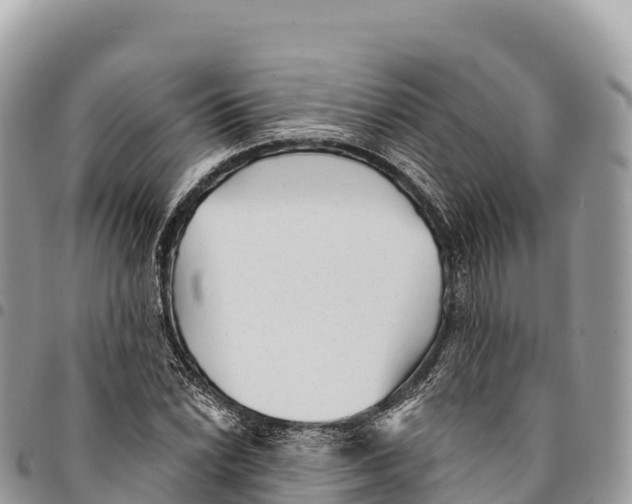 X0000094421022200711291544