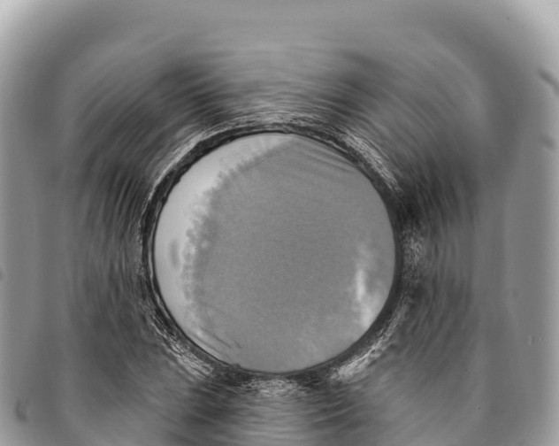 X0000094421023200711291545