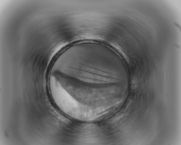 X0000094421024200711291545