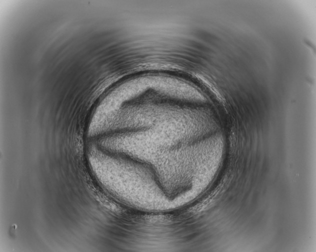 X0000094421025200711291545