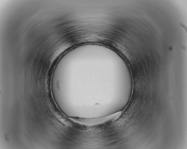 X0000094421026200711291545