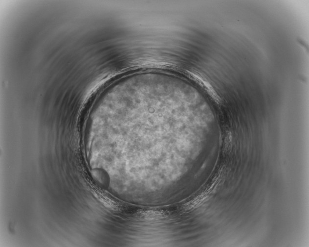 X0000094421027200711291545