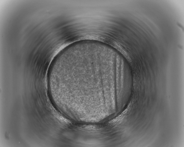 X0000094421028200711291545