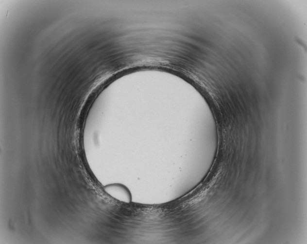 X0000094421029200711291545