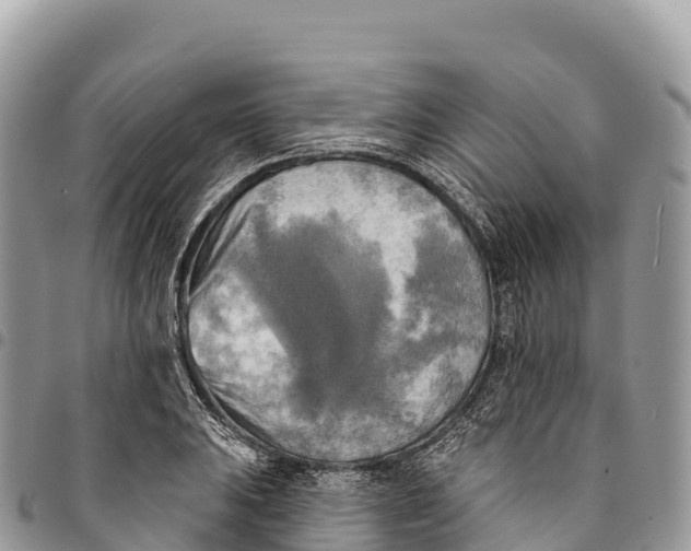 X0000094421031200711291545