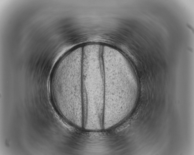 X0000094421032200711291545