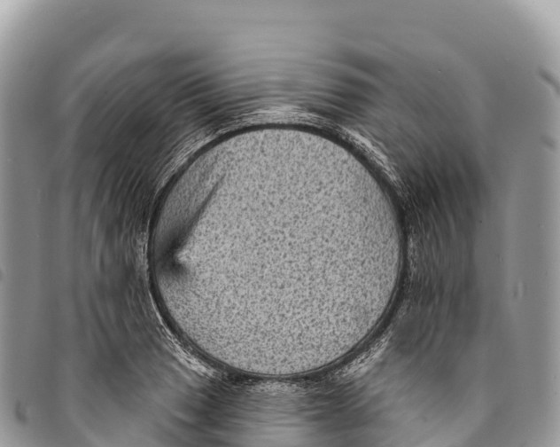 X0000094421033200711291545