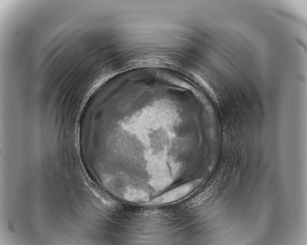 X0000094421035200711291545