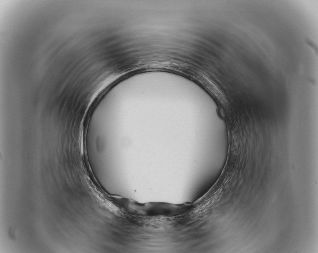 X0000094421036200711291545