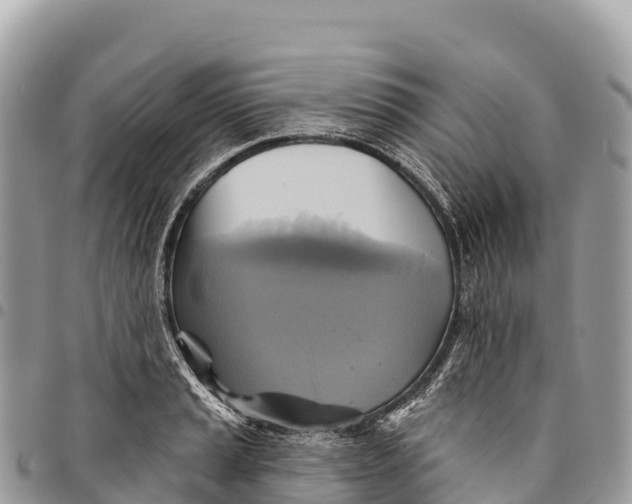 X0000094421037200711291545