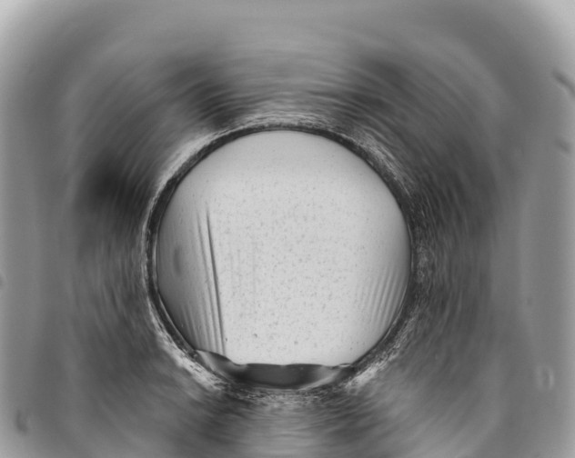 X0000094421038200711291545