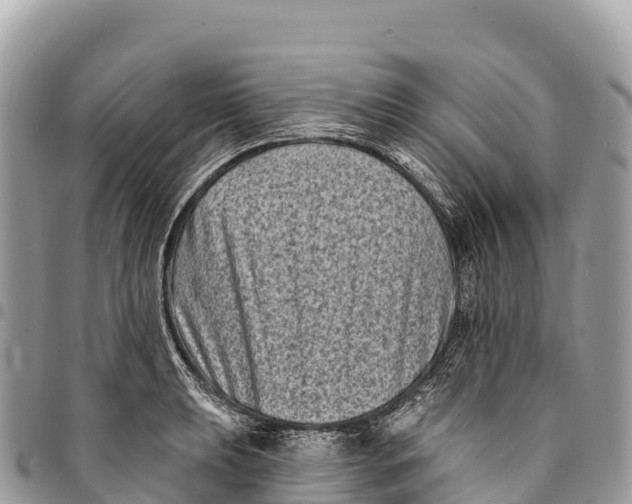 X0000094421039200711291545