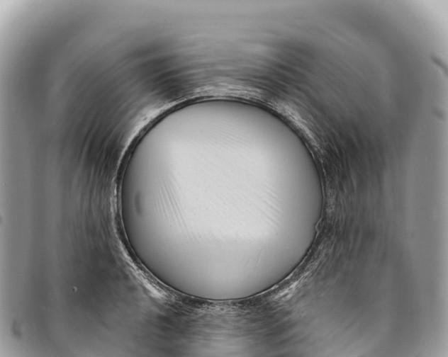 X0000094421040200711291545