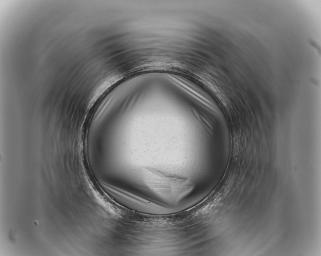 X0000094421042200711291545