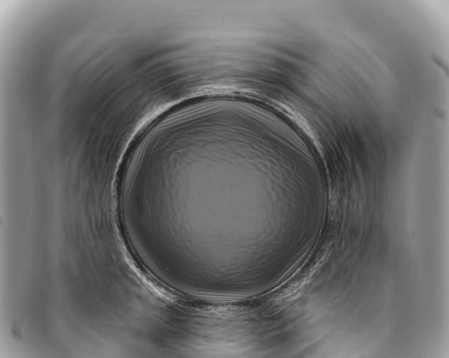 X0000094421045200711291545