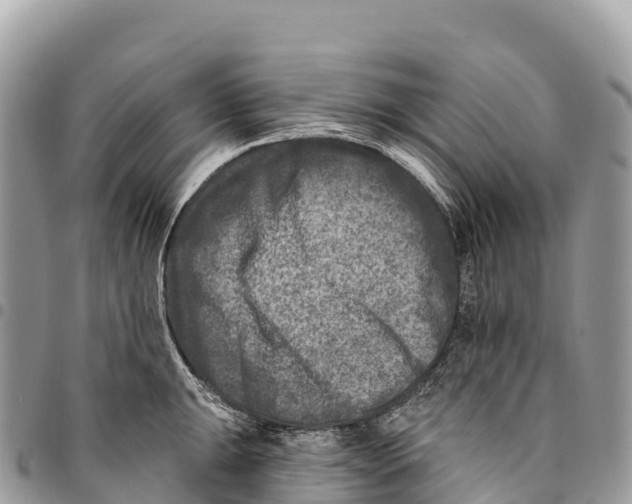 X0000094421047200711291545