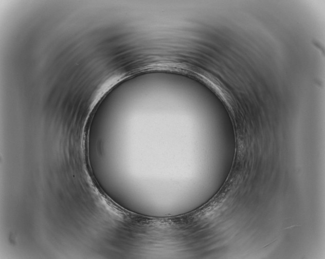 X0000094421050200711291545