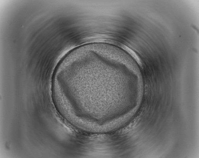 X0000094421051200711291545