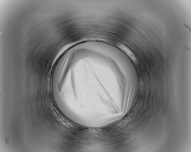 X0000094421052200711291545