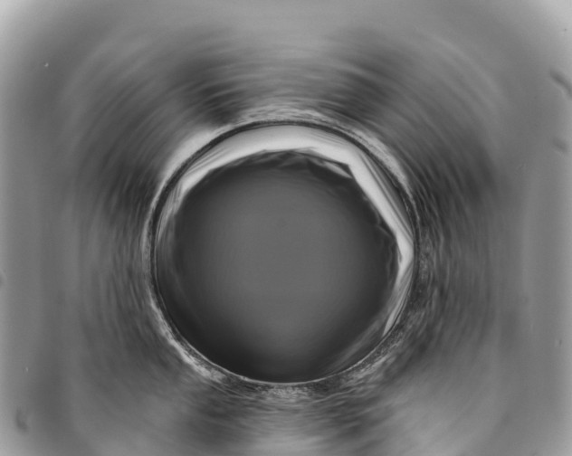 X0000094421053200711291545