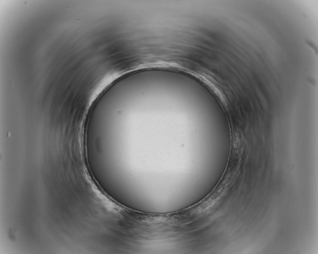 X0000094421054200711291545