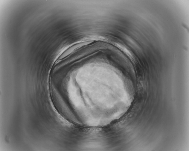 X0000094421055200711291545